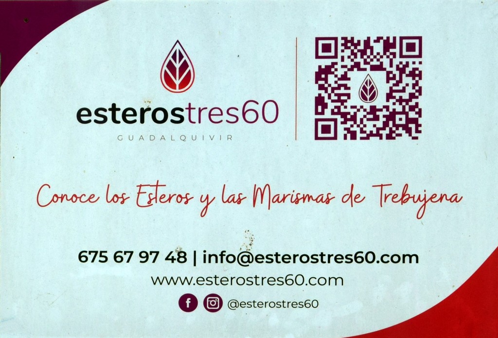 Foto: Esterostres60 - Trebujena (Cádiz), España