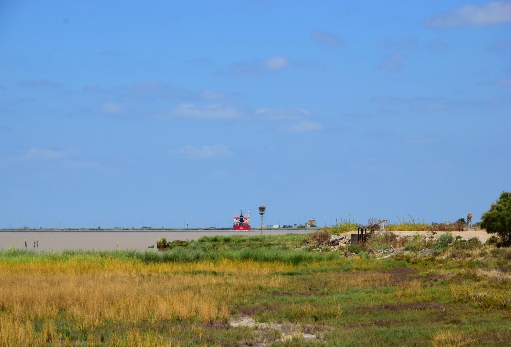 Foto: Marismas - Trebujena (Cádiz), España
