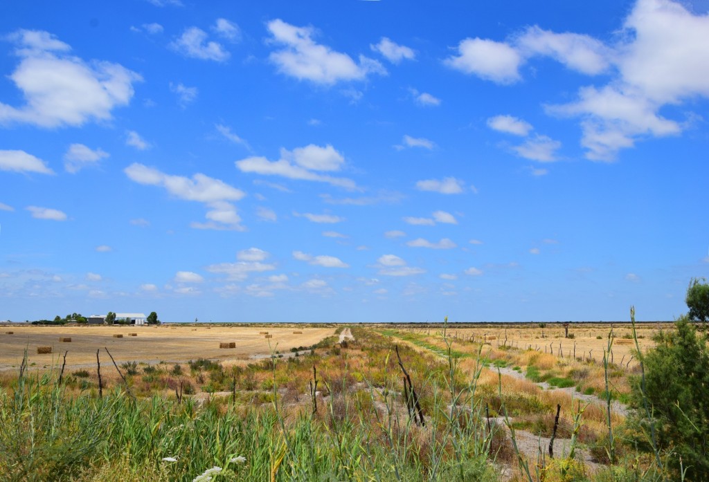 Foto: Manogodor - Trebujena (Cádiz), España