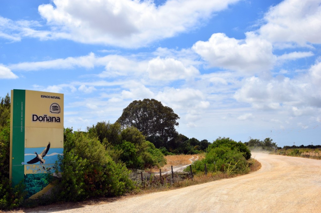 Foto: Entorno de Doñana - Trebujena (Cádiz), España