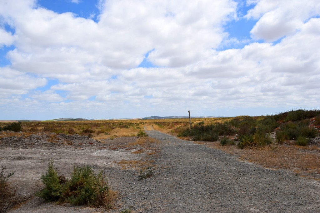 Foto: Sendero Marísmas - Trebujena (Cádiz), España