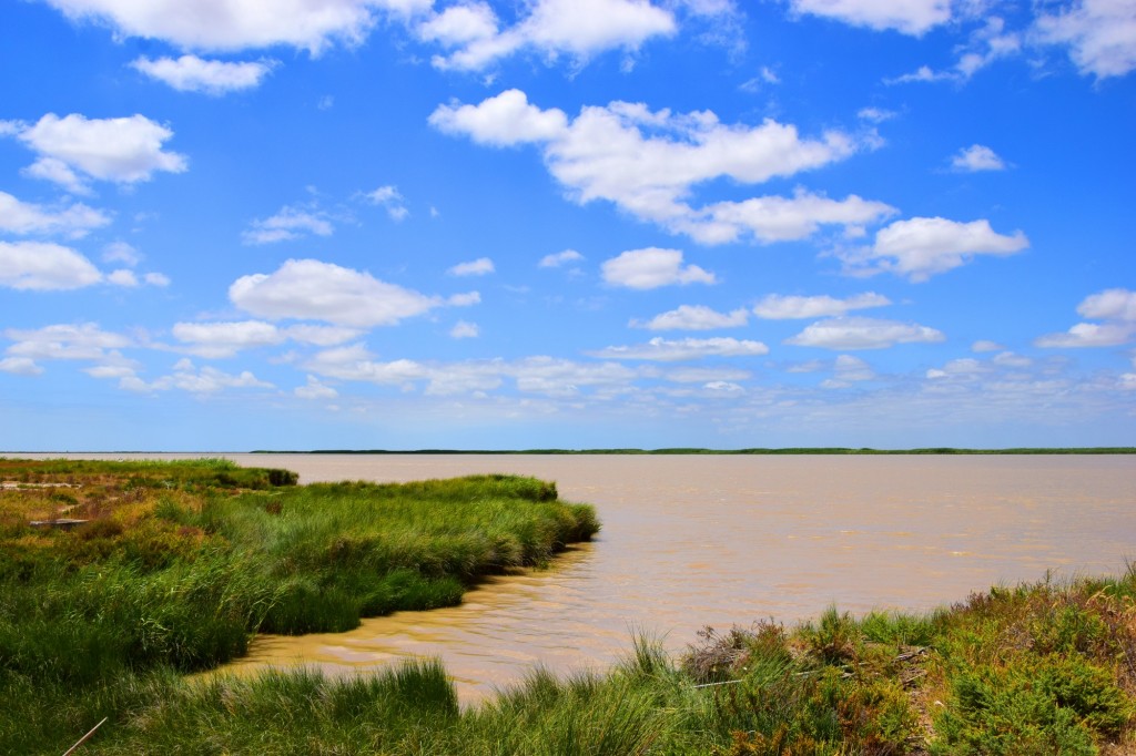Foto: Recodos - Trebujena (Cádiz), España