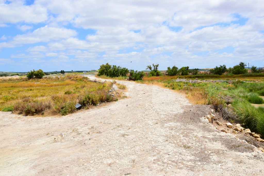 Foto: Camino del Embarcadero - Trebujena (Cádiz), España