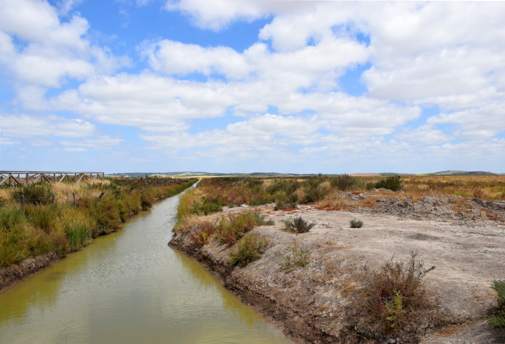 Foto: Caño de la Esparragura - Trebujena (Cádiz), España