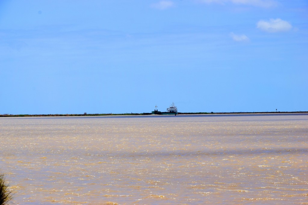 Foto de Trebujena (Cádiz), España
