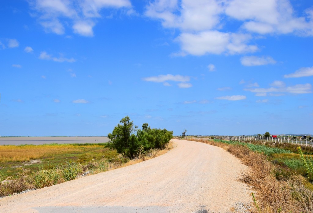 Foto: Camino del Práctico - Trebujena (Cádiz), España