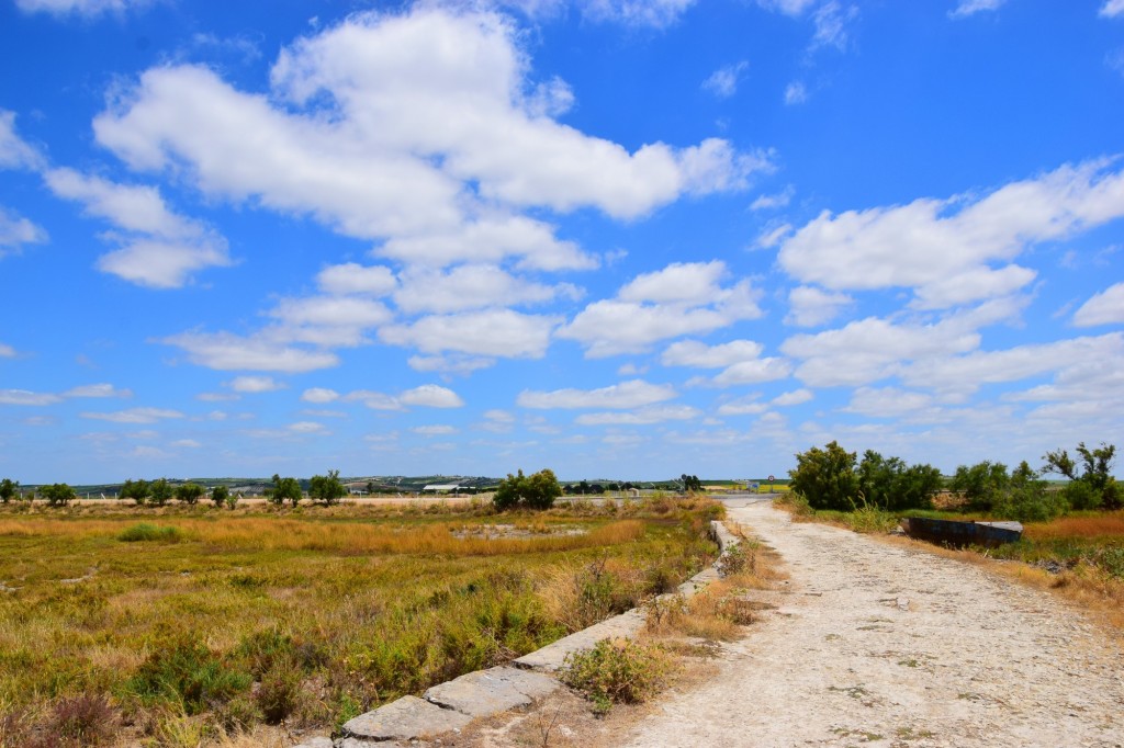 Foto: Salida a la carretera del Práctico - Trebujena (Cádiz), España