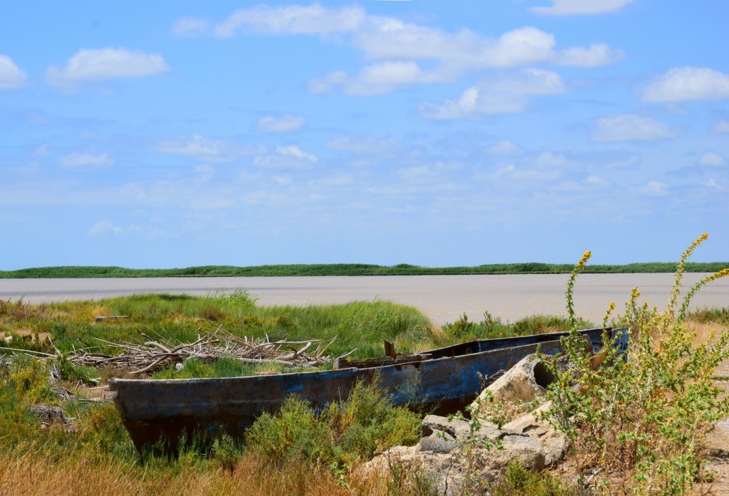 Foto: Patera - Trebujena (Cádiz), España
