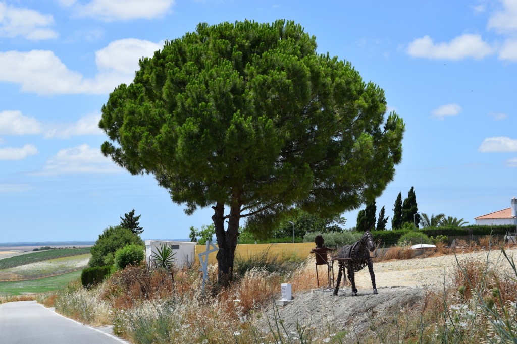 Foto de Trebujena (Cádiz), España