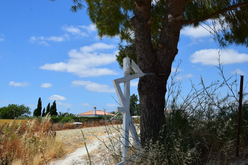 Foto: Mayeto del árbol - Trebujena (Cádiz), España