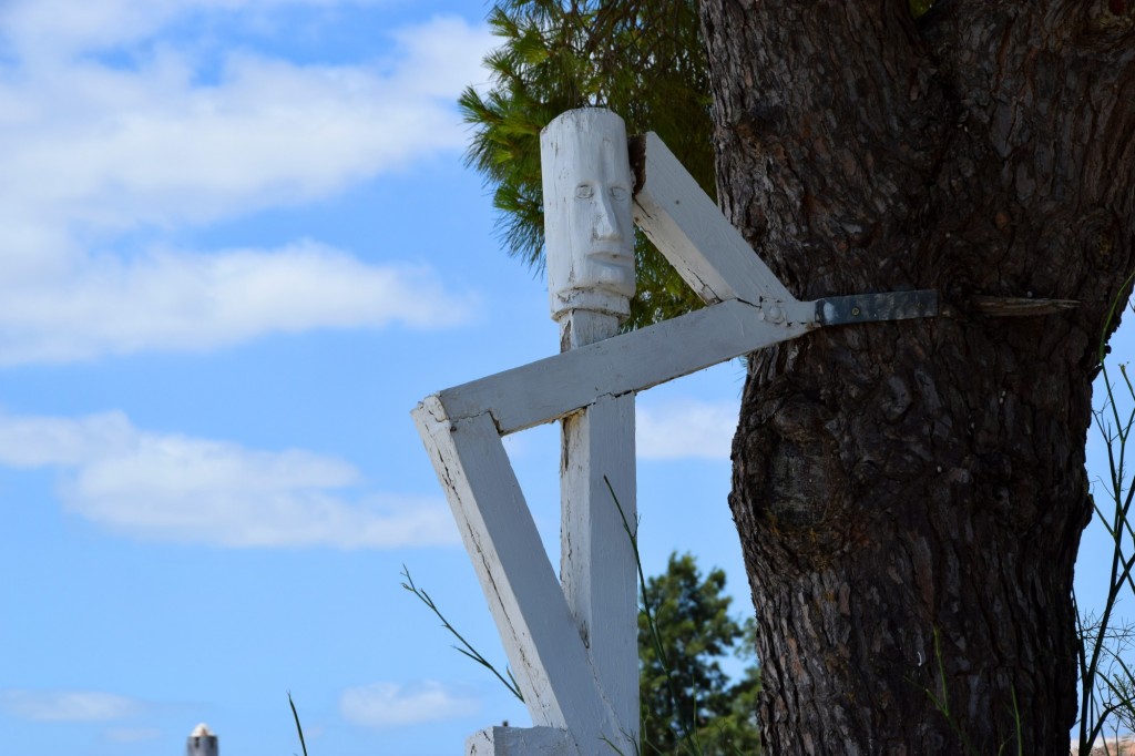 Foto: Mayeto del árbol - Trebujena (Cádiz), España
