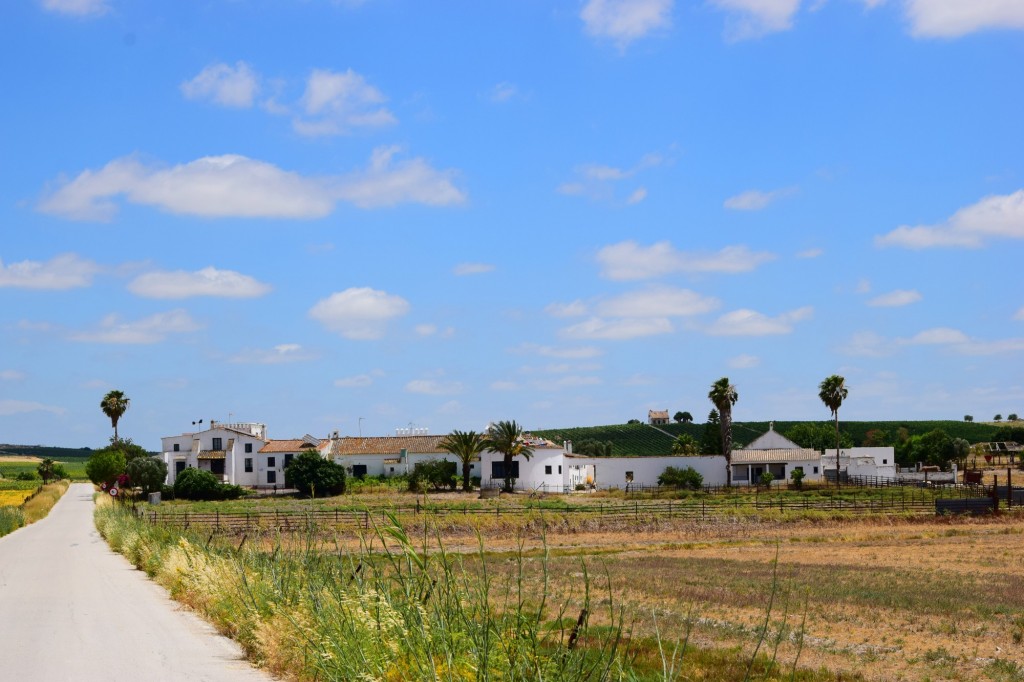 Foto: Cortijo Camino del Río - Trebujena (Cádiz), España