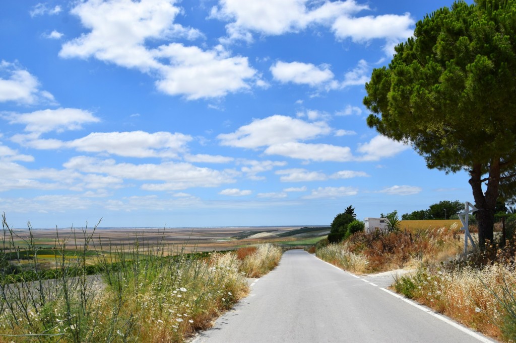 Foto: Carretera al Río - Trebujena (Cádiz), España