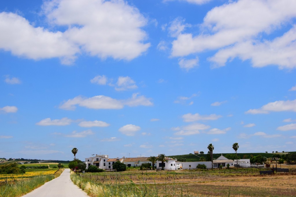 Foto: Cortijo Camino del Río - Trebujena (Cádiz), España