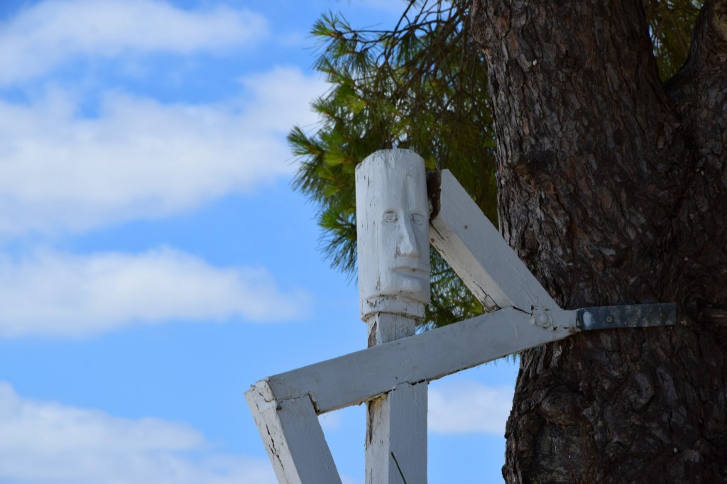 Foto: Mayeto del árbol - Trebujena (Cádiz), España
