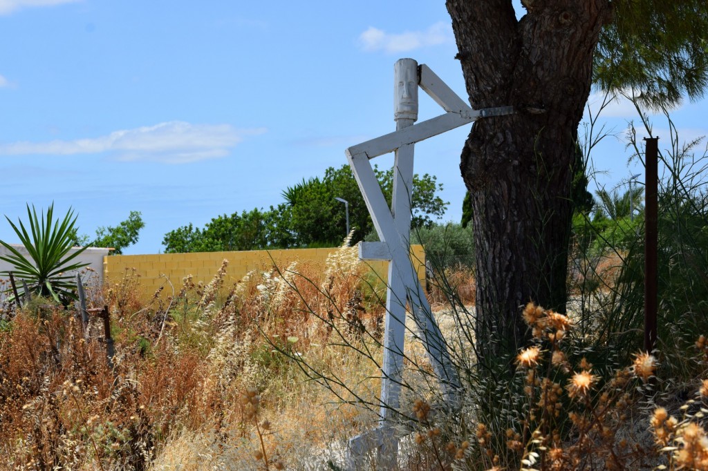 Foto: Mayeto del árbol - Trebujena (Cádiz), España