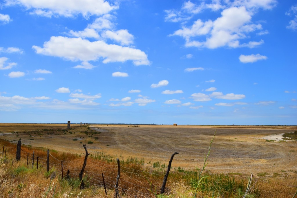 Foto: Marismas Alventus - Trebujena (Cádiz), España
