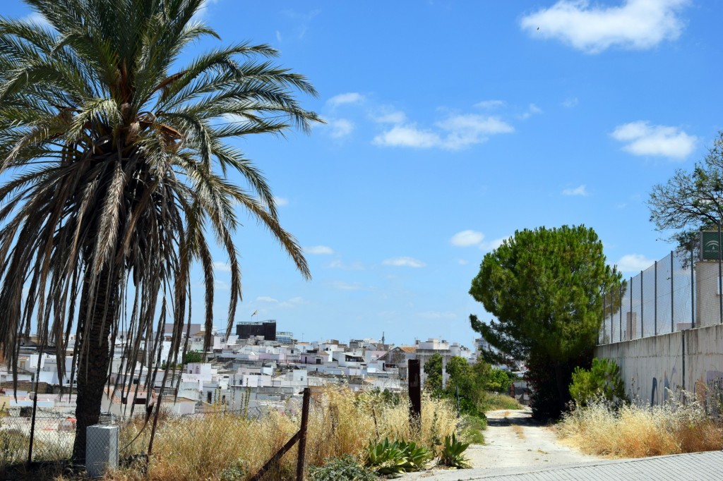 Foto: Camino trás el Instituto - Trebujena (Cádiz), España