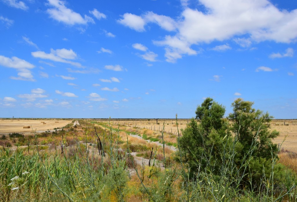 Foto: Inmensidad - Trebujena (Cádiz), España