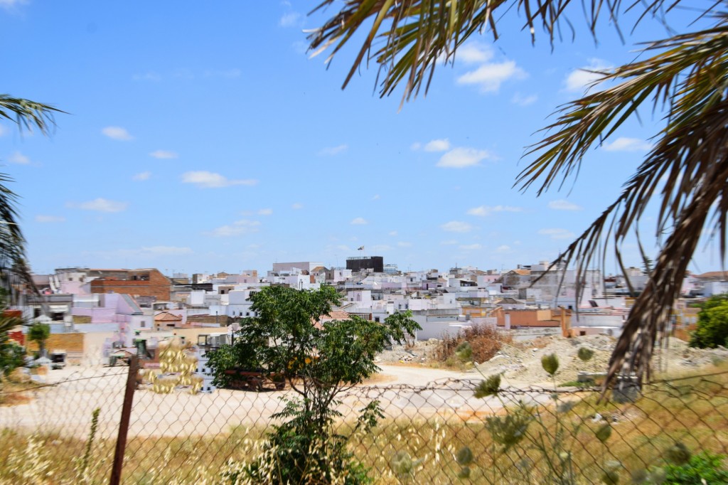 Foto: Pago la Pozuela - Trebujena (Cádiz), España