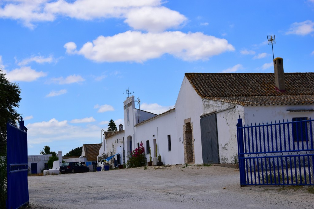 Foto: Cortijo de Adventus - Trebujena (Cádiz), España