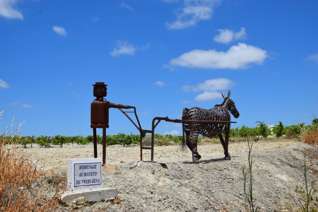 Foto: Mayetos - Trebujena (Cádiz), España