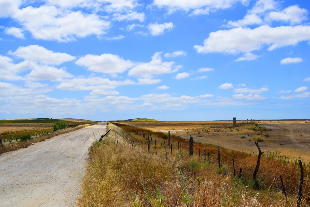 Foto: Caminos marismeños - Trebujena (Cádiz), España