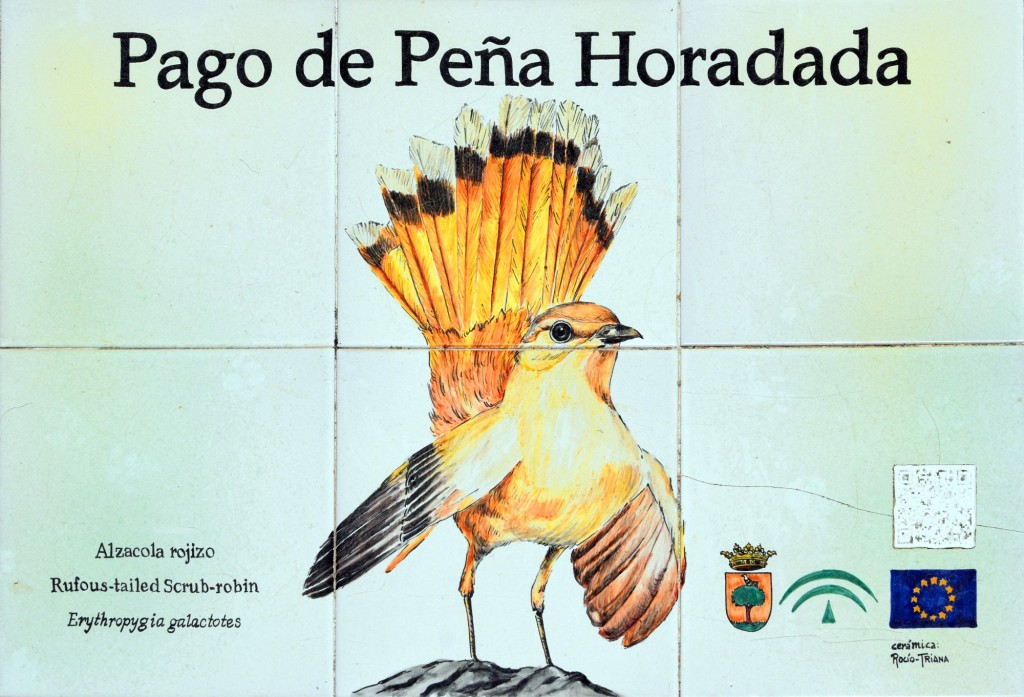 Foto: Cerámica de Rocio Triana representando un Alzacola Rojizo - Trebujena (Cádiz), España