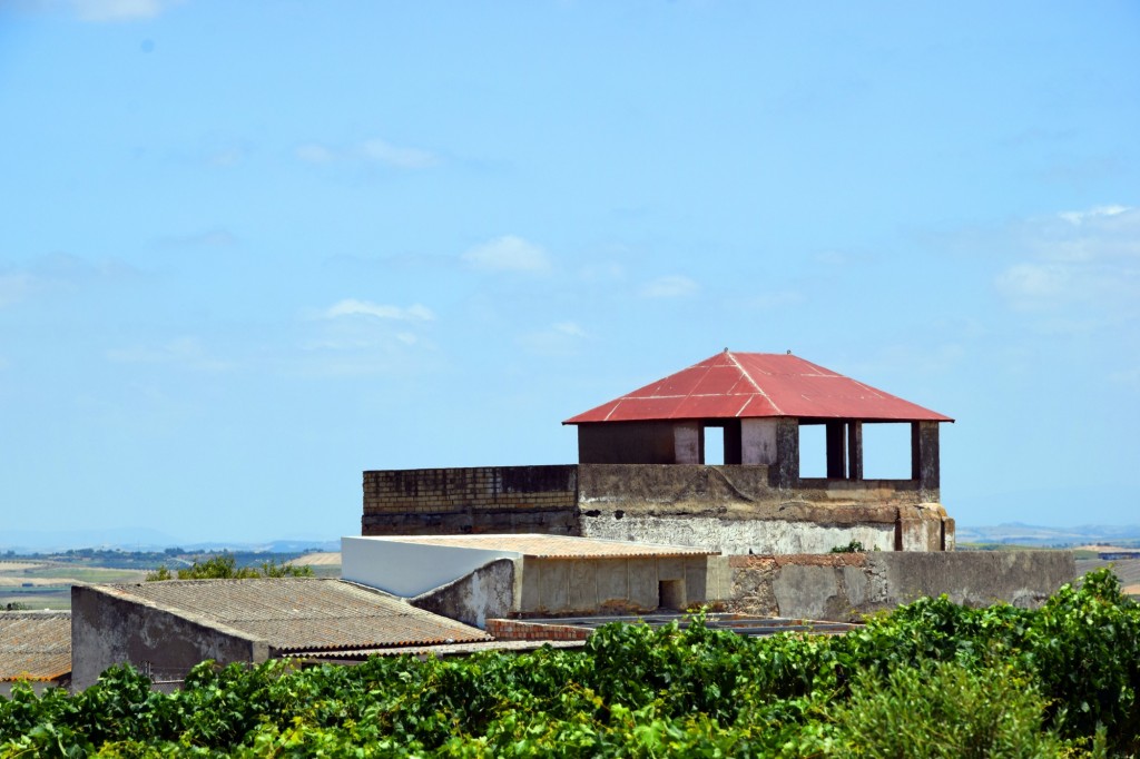 Foto: Cortijo - Trebujena (Cádiz), España