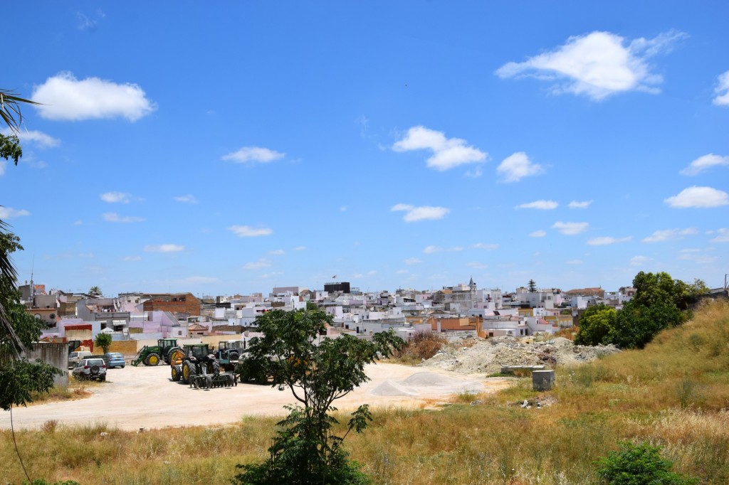 Foto: Pago de la Calera - Trebujena (Cádiz), España