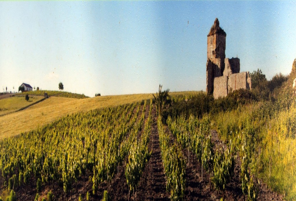 Foto de Trebujena (Cádiz), España