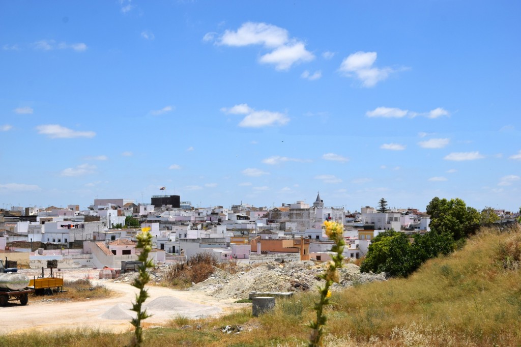 Foto: Panorámica del pueblo - Trebujena (Cádiz), España