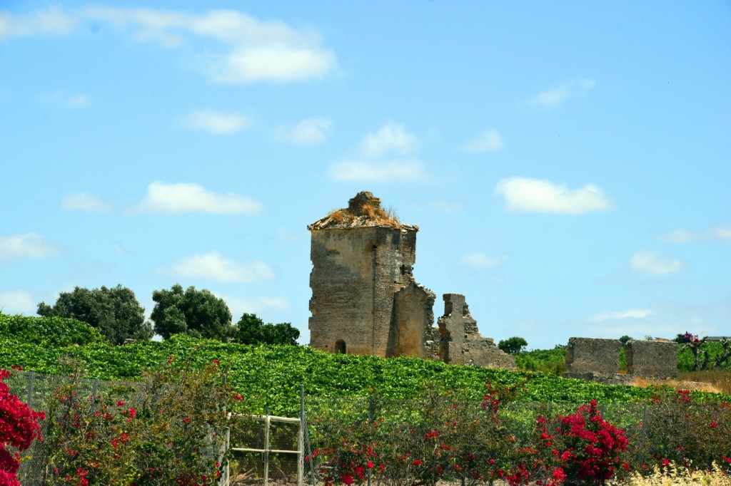 Foto: El Molino - Trebujena (Cádiz), España