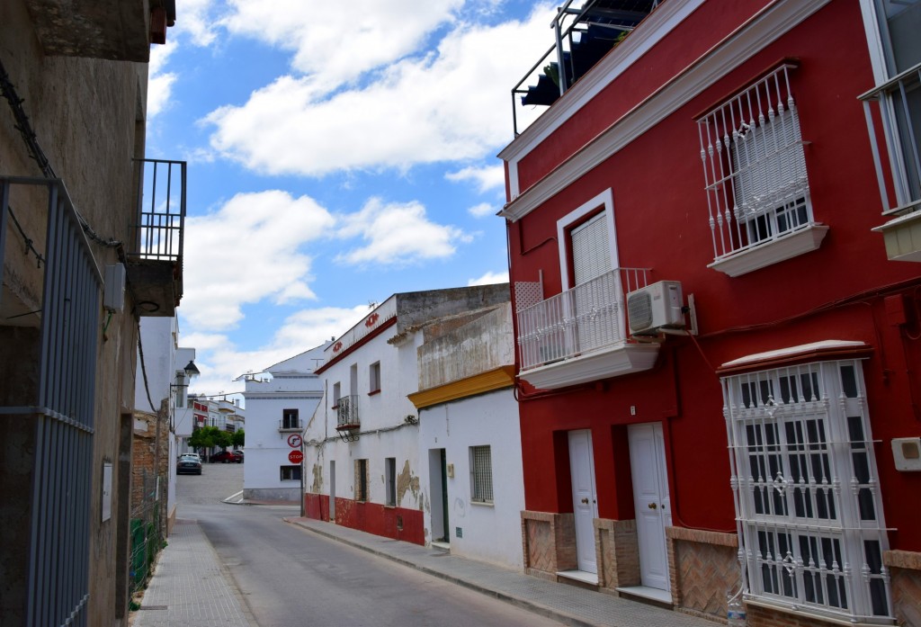 Foto: Hacia el Altozano - Trebujena (Cádiz), España
