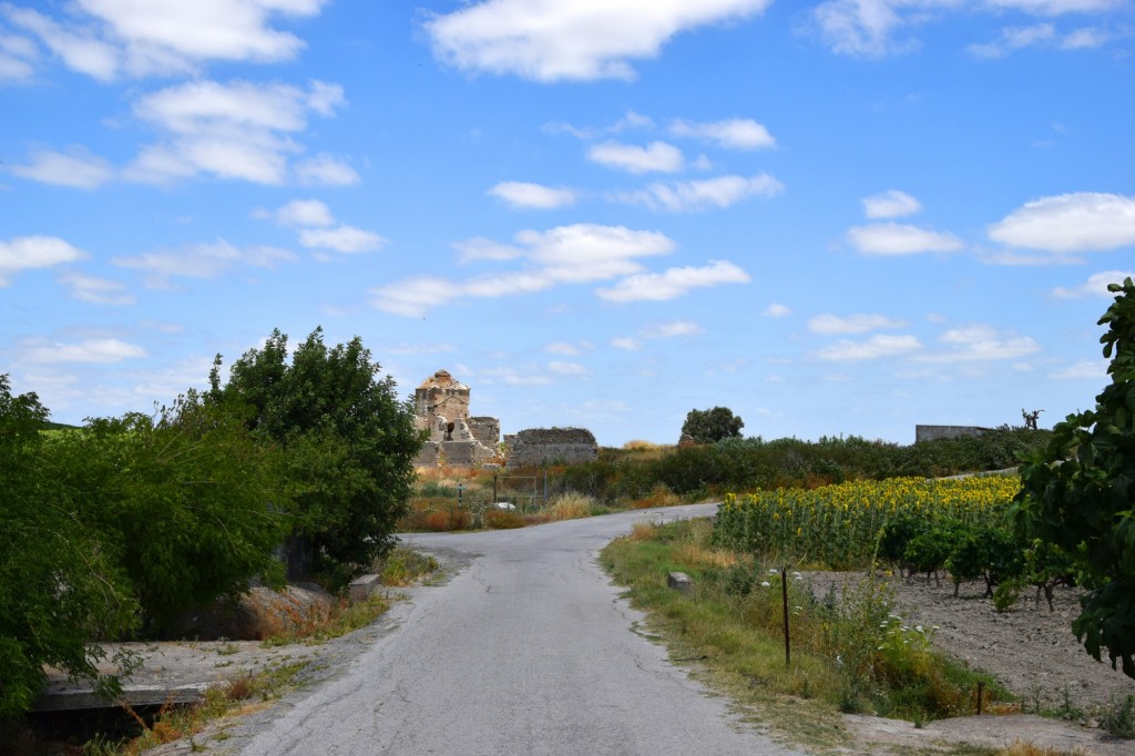 Foto: Sendero de Las Haciendas - Trebujena (Cádiz), España