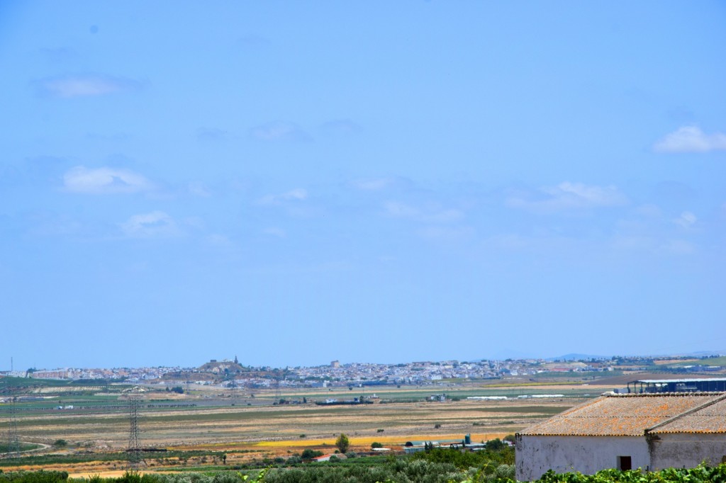 Foto: Vistas hacia Lebrija - Trebujena (Cádiz), España