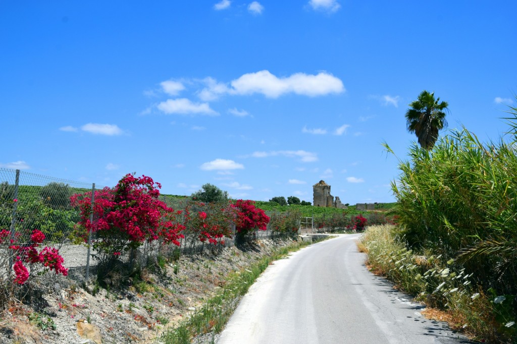 Foto: Carretera a las marísmas - Trebujena (Cádiz), España
