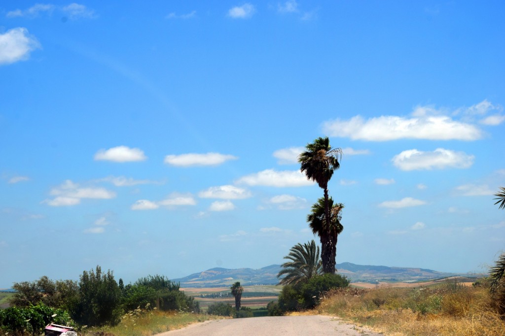 Foto: Rancho Aceituno - Trebujena (Cádiz), España