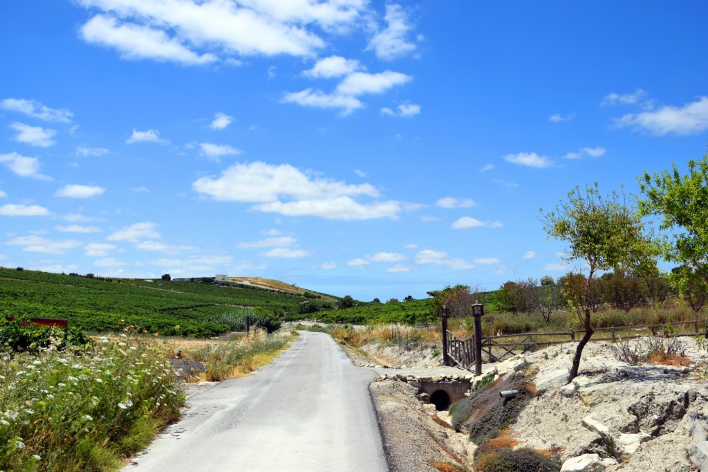 Foto: Los Farolillos - Trebujena (Cádiz), España