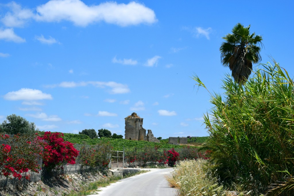 Foto: Sendero Ruinas del molino - Trebujena (Cádiz), España
