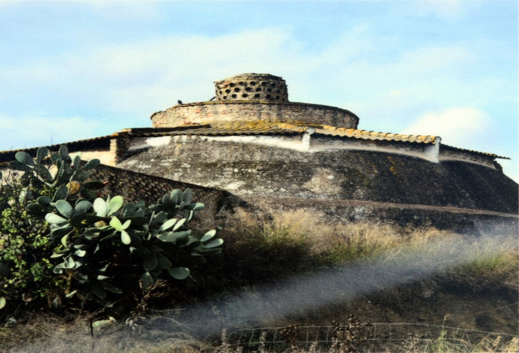 Foto: Palomar - Trebujena (Cádiz), España