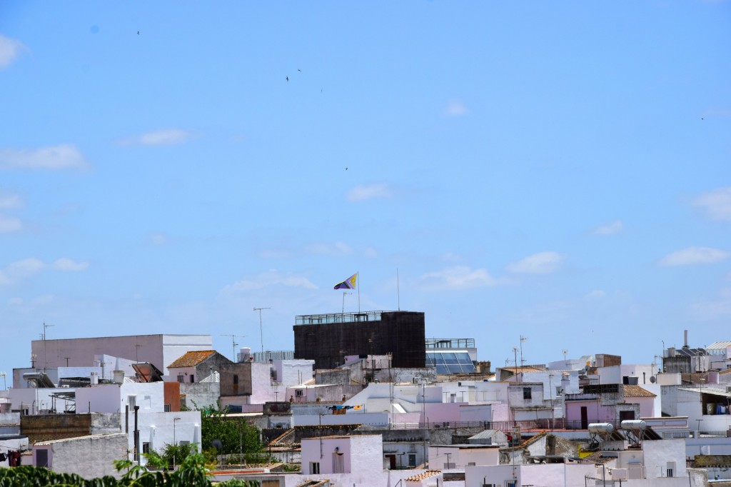 Foto: Vistas - Trebujena (Cádiz), España