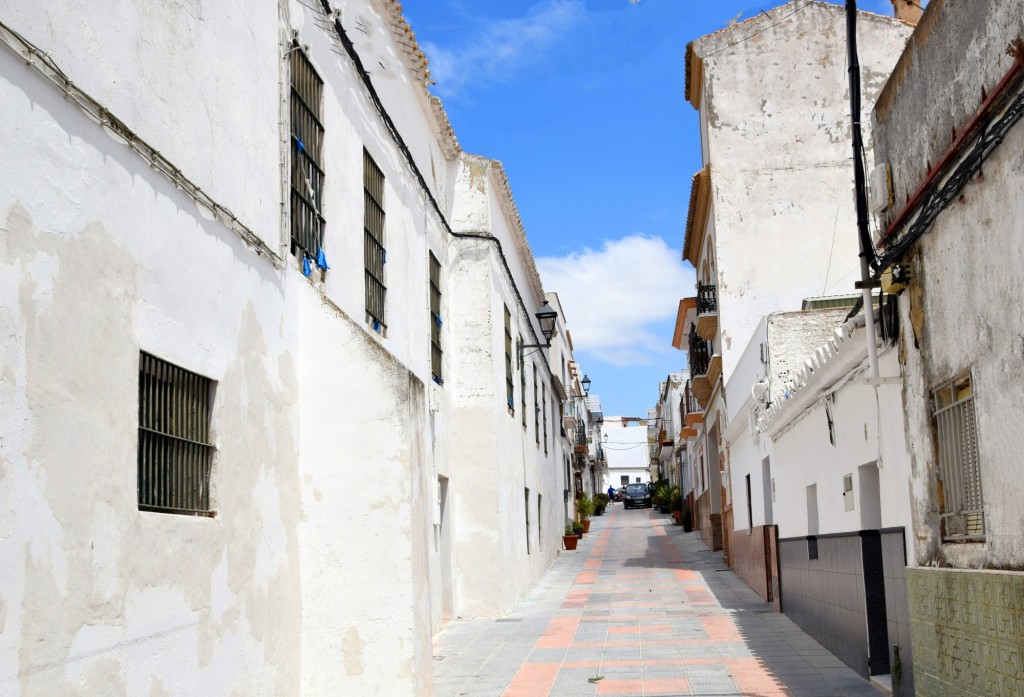 Foto: Calle Ciprés - Trebujena (Cádiz), España