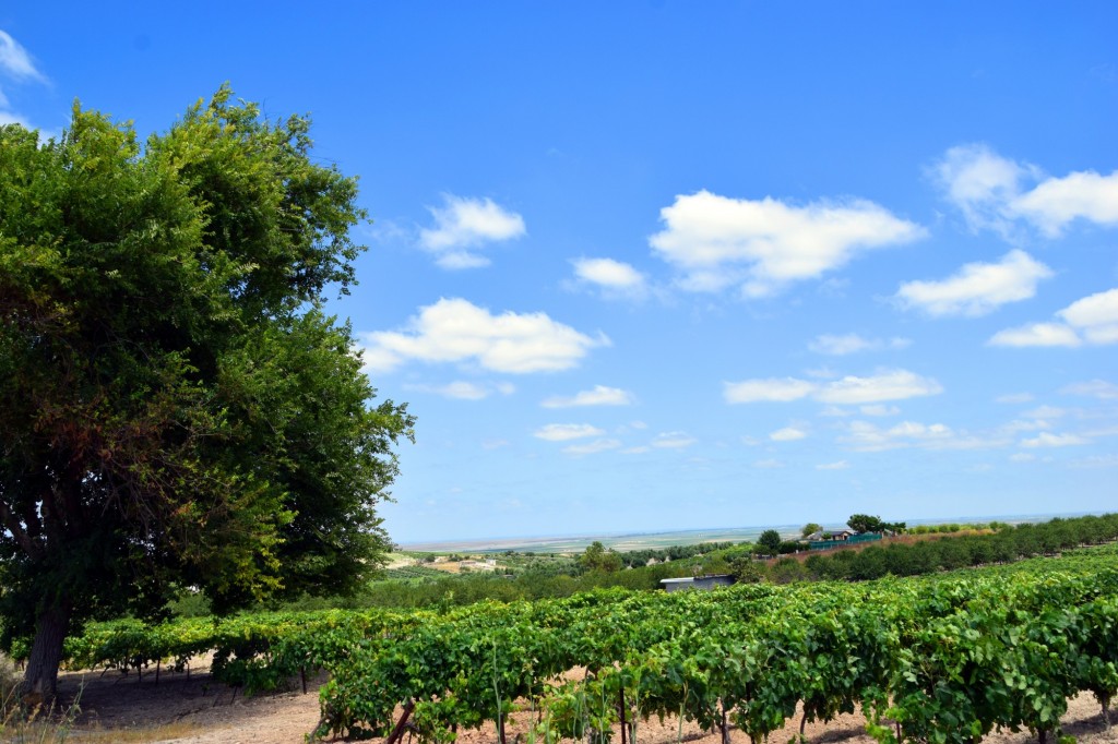 Foto: Zona de Hijuela de la Loca - Trebujena (Cádiz), España