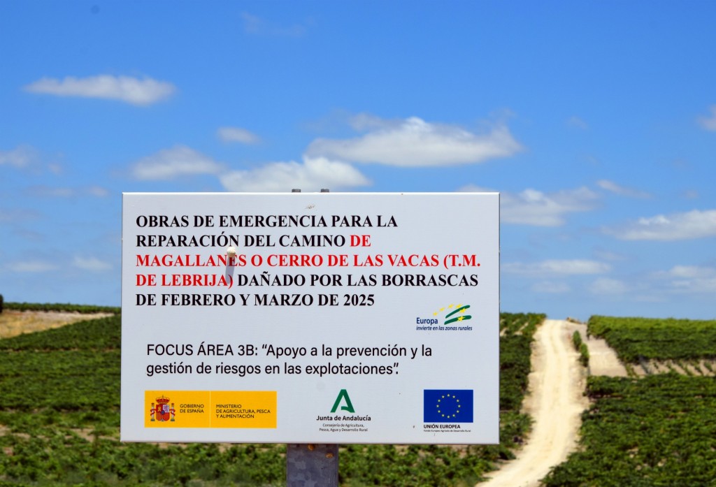 Foto de Trebujena (Cádiz), España
