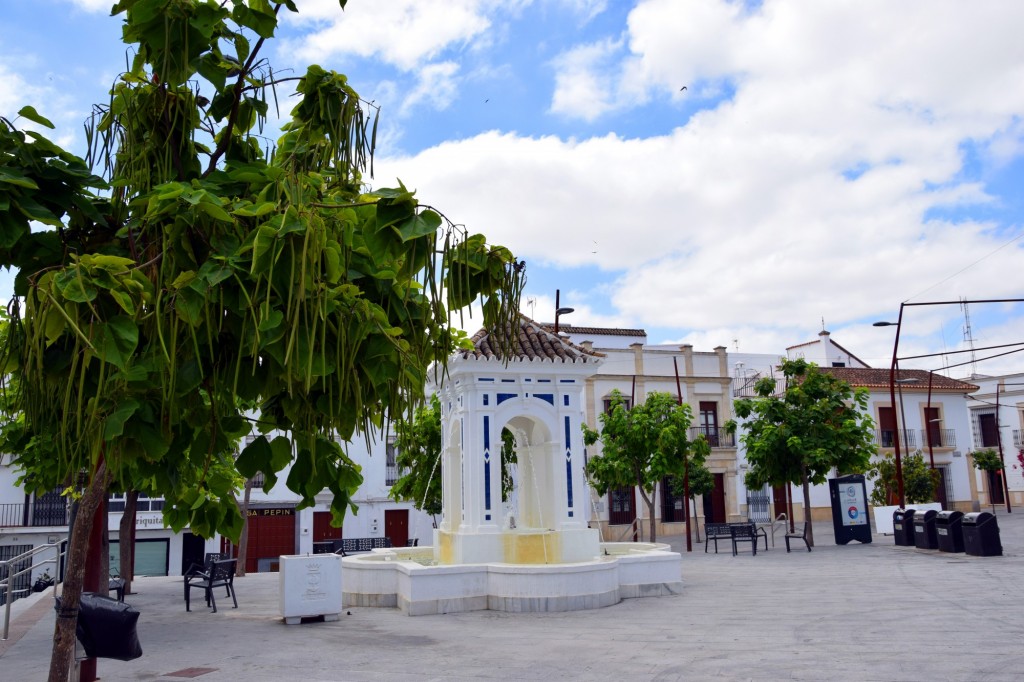 Foto de Trebujena (Cádiz), España