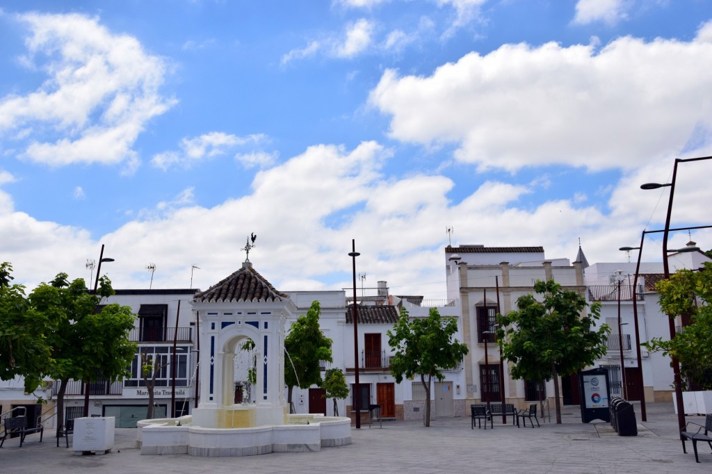 Foto: Mariquita Trasquilá - Trebujena (Cádiz), España