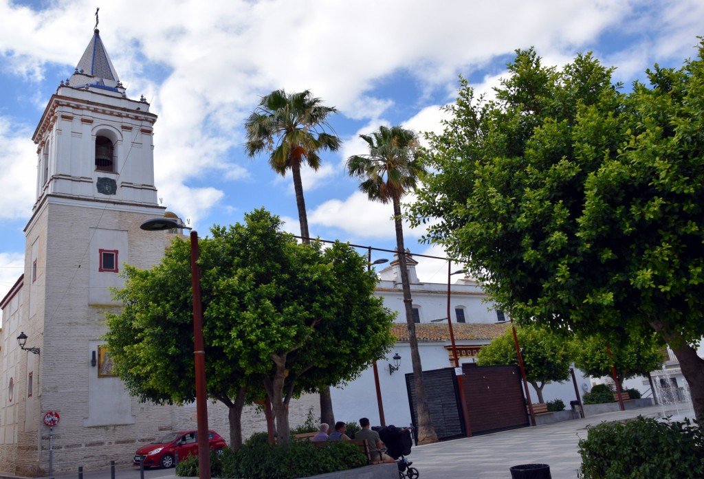 Foto: La Purísima Concepción - Trebujena (Cádiz), España