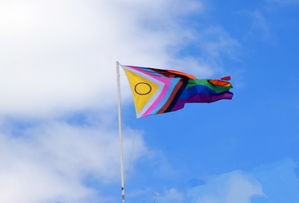 Foto: Bandera ondeando sobre el Castillo - Trebujena (Cádiz), España