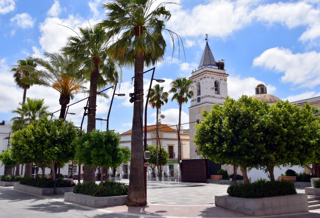 Foto de Trebujena (Cádiz), España